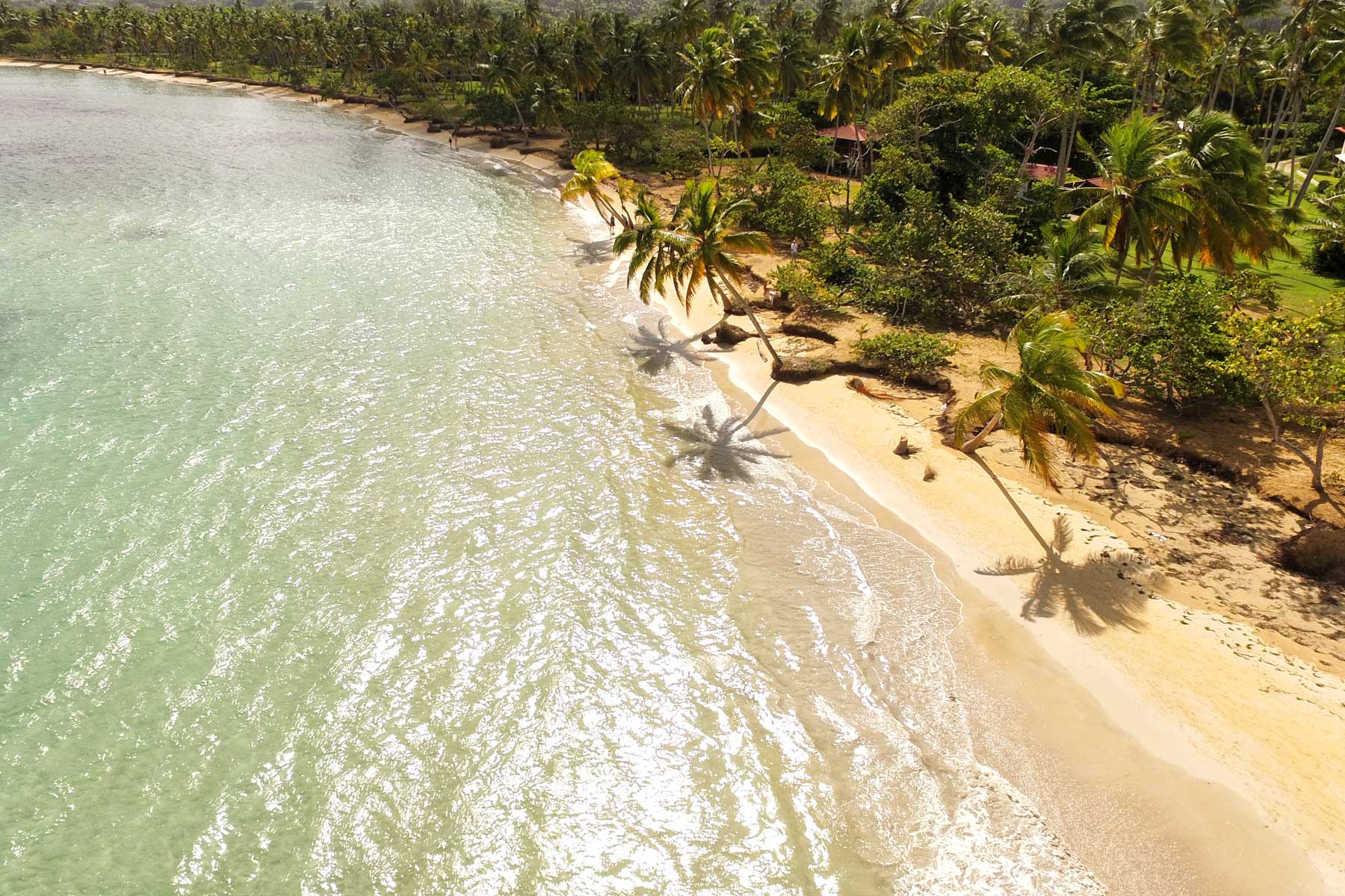 All-inclusive Grand Bahia Principe El Portillo 2