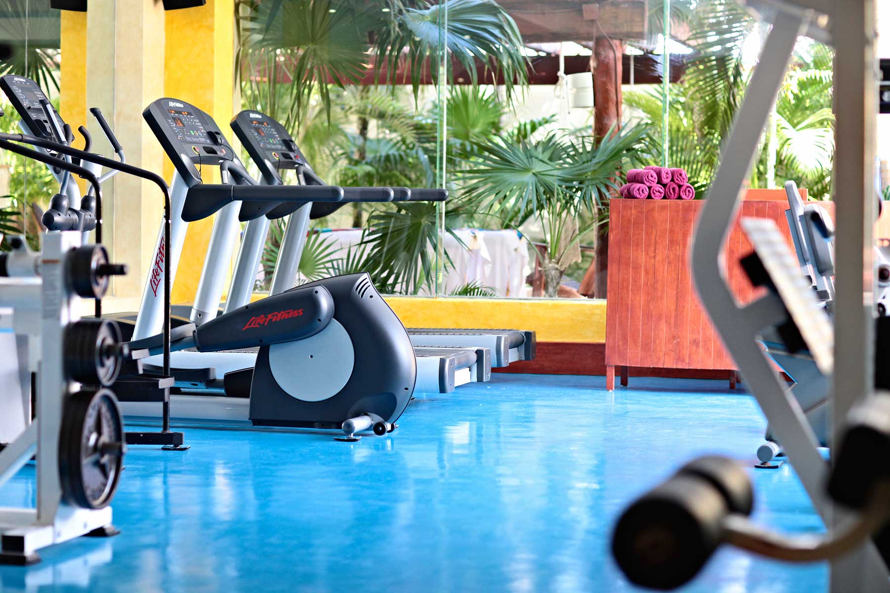 Things to do Resort Riviera Maya 50