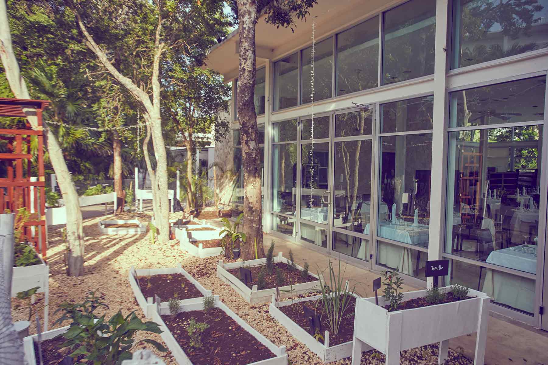 Gastronomy at Luxury Bahia Principe Sian Ka