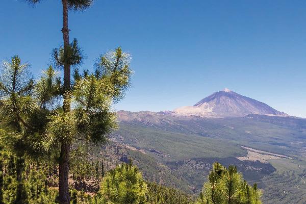 Teide National Park at Tenerife 3