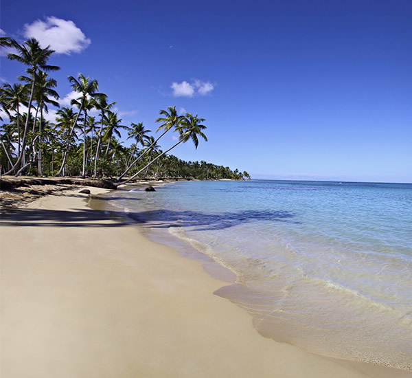 Bodas en Samana